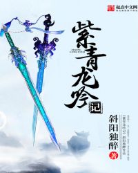 紫青龙吟记封面